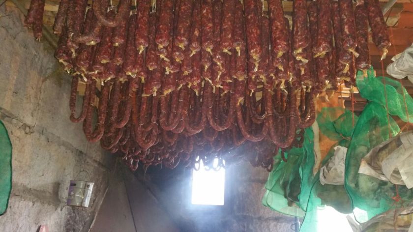 IMG-20151208-WA0009[1]