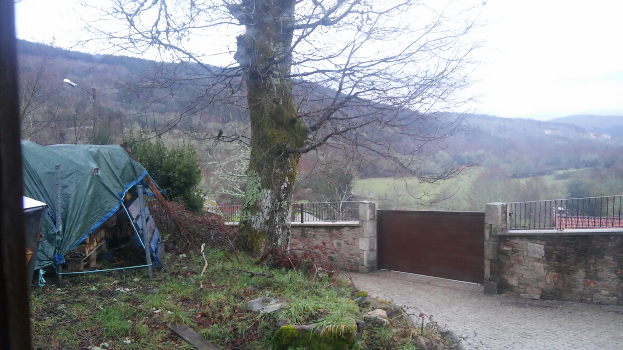 20160320_084819.jpg image